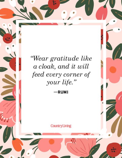 Gratitude and Giving Back