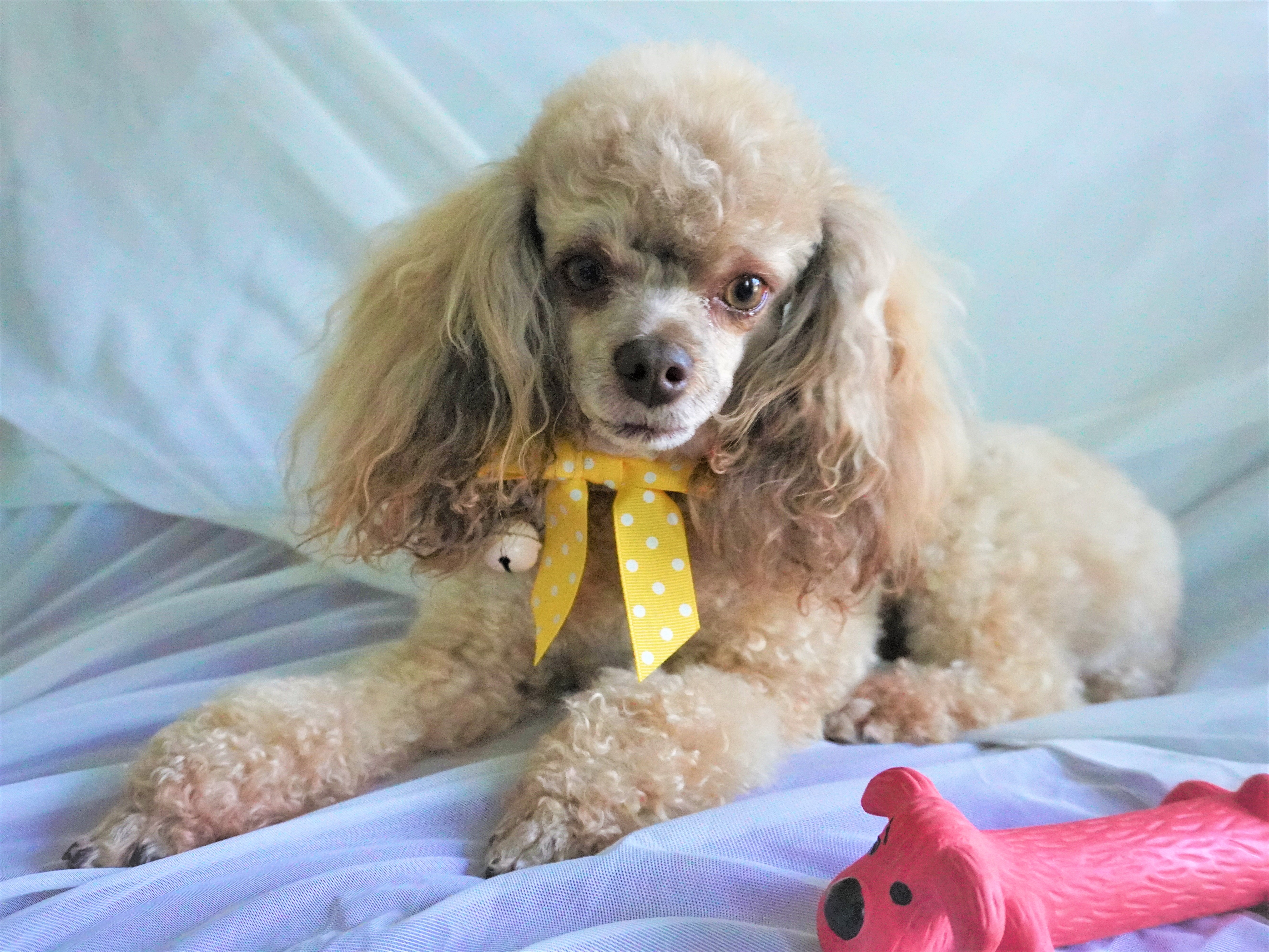 What Is A Back Facial?