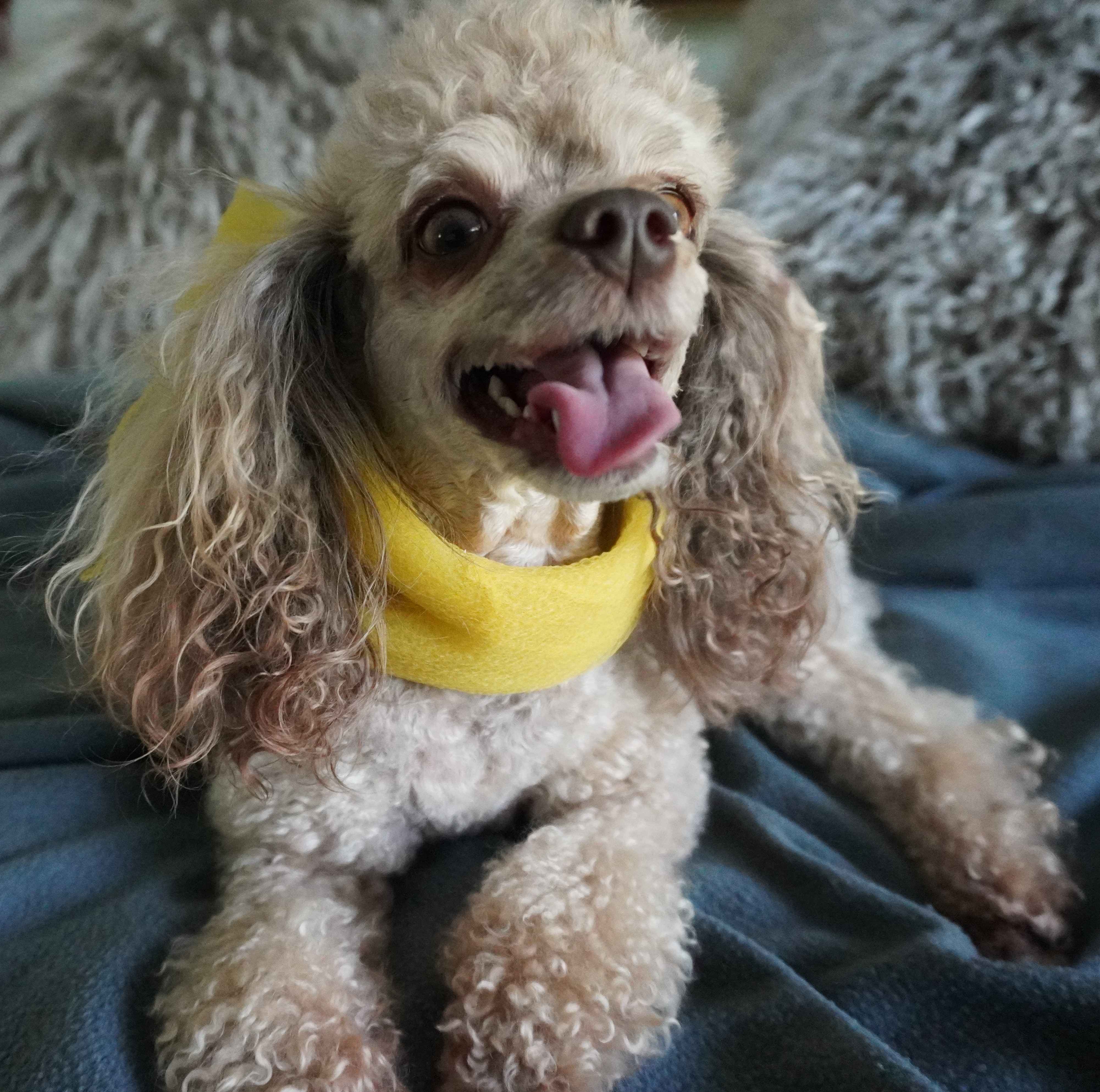 Ask Charlie - September Issue