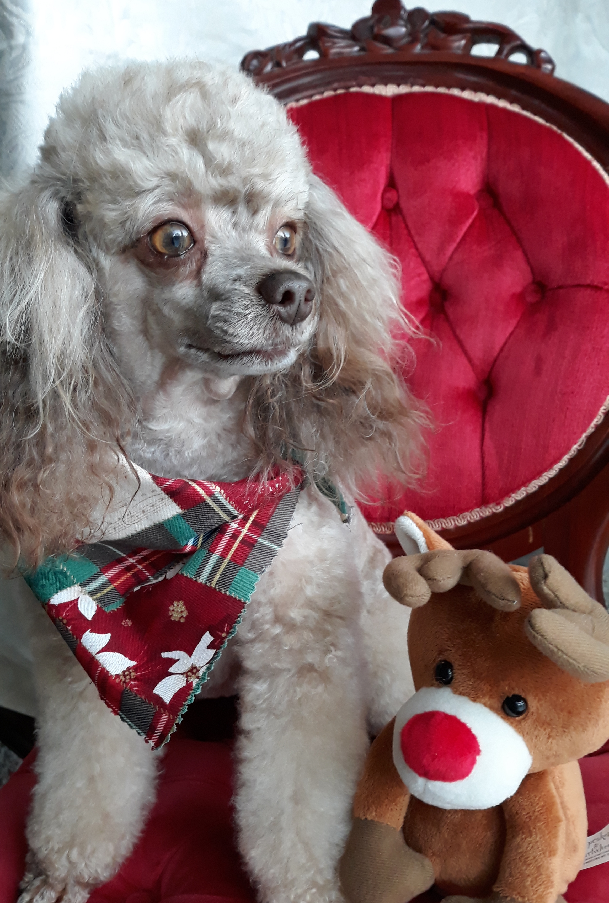 How to Care for Chapped Lips