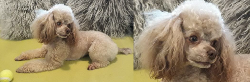 Ask Charlie - Issue 1