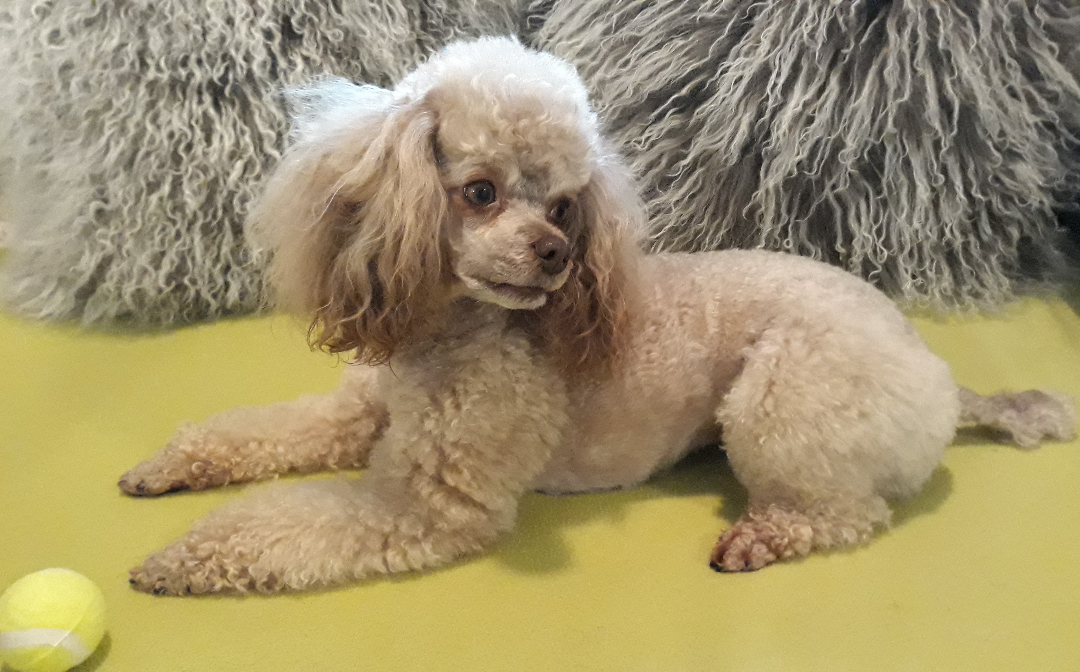 How To Care for Cuticles